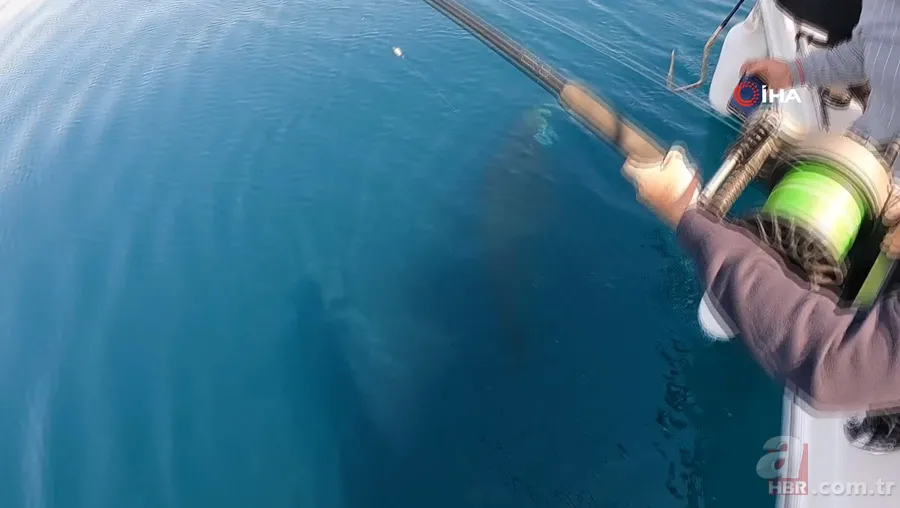 Levrek yakaladığını zannetti! Oltasına takılan balığı görünce gözlerine inanamadı 7