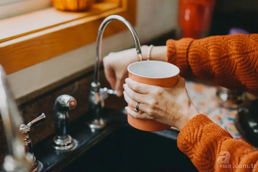Dünyanın çözemediği sorunu lise öğrencisi çözdü: Mikroplastikleri yok eden filtre! 4