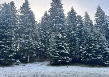 Bolu'nun yüksek kesimlerine kar yağdı