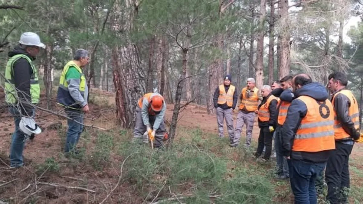 Orman işçileri Kazdağları'nda sınav için ter döktü