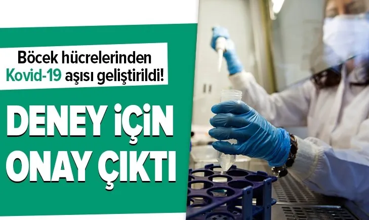 Çin'de böcek hücrelerinden corona virüs Covid-19 aşısı geliştirildi! Klinik deneme için onay çıktı