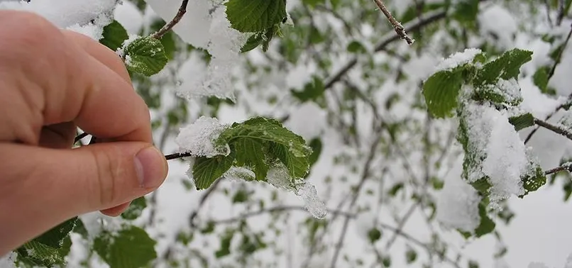 Meteorolojiden zirai don ve sağanak uyarısı