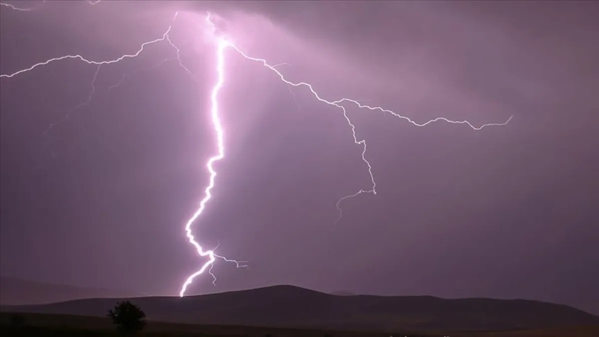 Muş’ta yıldırım can aldı