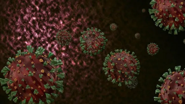 Koronavirüs mutasyonunun adı açıklandı! Hazırlanan raporda mutasyona verilen isim...