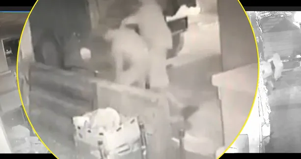 3 dakikada 3 cinayet! Kan donduran görüntüler ortaya çıktı