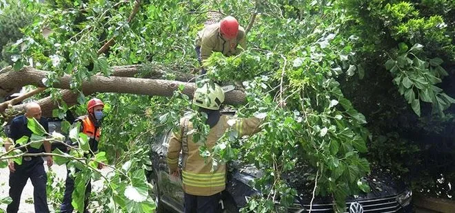 Son dakika: Ataşehir’de otomobilin üzerine ağaç devrildi