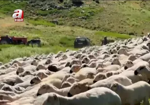 1 asırlık yayla geleneği