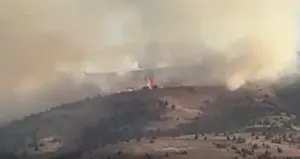 Sivas’ta anız yangını ormanlık alana sıçradı