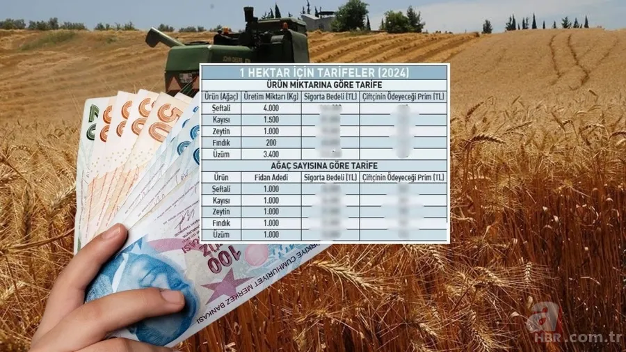 Çiftçinin zirai don zararı hesaplandı! Ürüne göre kime ne kadar ödenecek? Fındık, zeytin, kayısı… 1