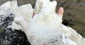 Eğirdir Gölü bir anda köpürdü!