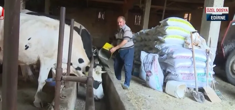 FOX TV’nin süt hayvancılığı algısı çürütüldü! Sür üreticileri FOX TV’ye tepki gösterdi