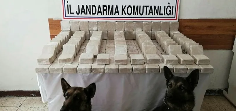 Van'da 101 kilo 728 gram eroin ele geçirildi