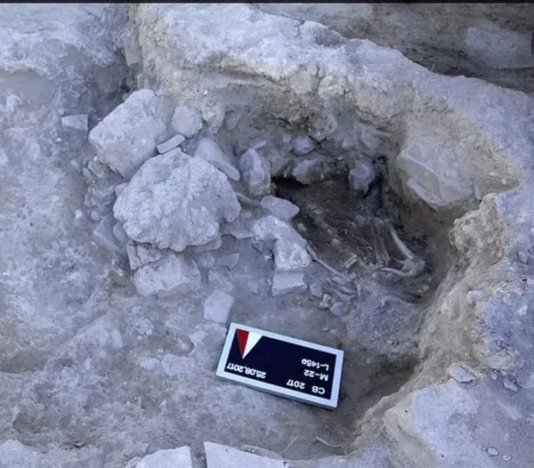 Türk bilim insanlarının tarihi buluşu dünya basınında! - 3
