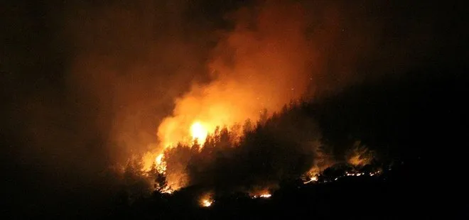 Hatay’da çıkan orman yangını söndürüldü!