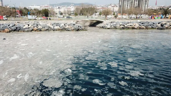 1615902584691.jpg Marmara Denizi'ndeki korkunç manzaranın nedeni belli oldu - 1