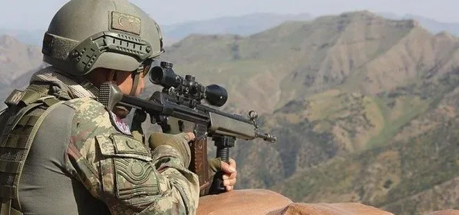 Çektar kod adlı PKK’lı terörist Mehmet Şirin Arslan öldürüldü