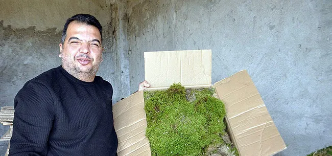 Manisa’da köylülerin topladığı ürünler 4 ülkeye peyzaj ürünü olarak ihraç ediliyor - 9