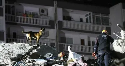 AFAD'ın kahraman köpekleri! İzmir'de hayat kurtarıyorlar...