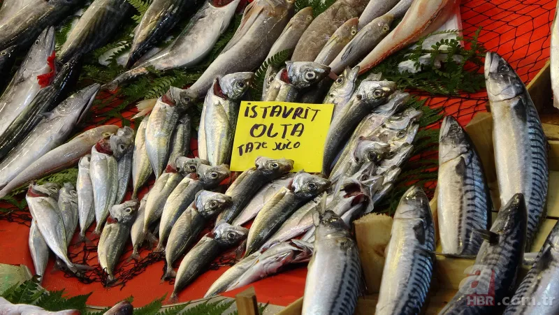 Balık fiyatları ne zaman düşer | Halden tezgaha bölge bölge fiyatlar değişiyor 14