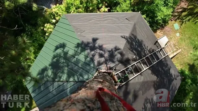 İngiliz mimar tavuk çiftliğini otele çevirdi 21