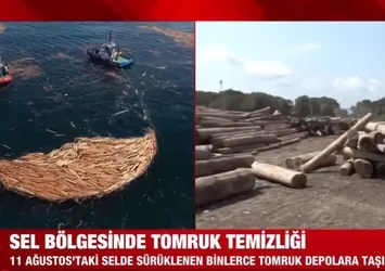 Afet bölgesi Sinop’ta tomruk temizliği