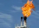 Almanyada doğal gaz rezervi krizi