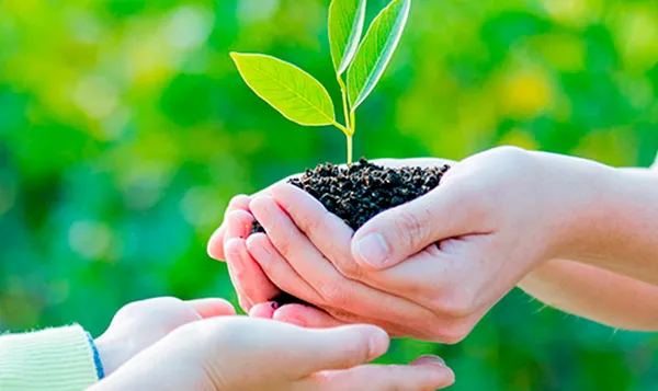 İngiltere’den Türkiye’deki çevreci projelere destek! Zirve Londra’da