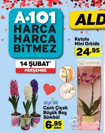 A101 14 Şubat Sevgililer Günü kataloğu! A101 aktüel ürünler kataloğu ve fiyatları 6