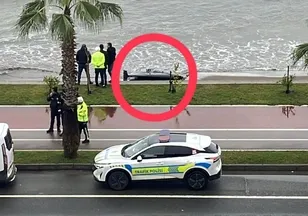 Ordu'da panik dolu anlar! Gören ekipleri aradı