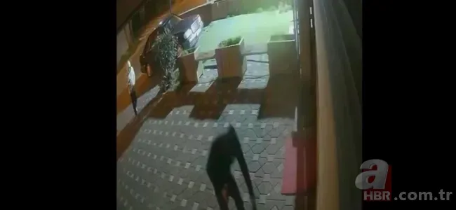 İstanbul'da molotoflu dehşet! Sevgilisi ile tehditler savurdu | Kabusu yaşattı 4