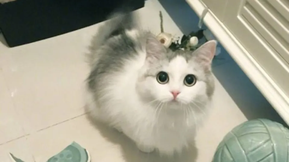 Günün ilginç kareleri