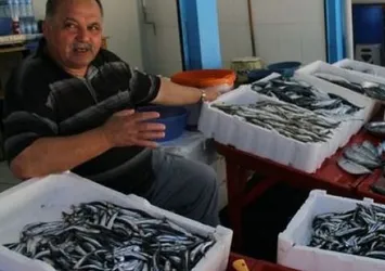 Yerli hamsi çıktı! İşte fiyatı...