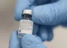 Pfizer/BioNTech aşısına bir ülkeden daha onay çıktı