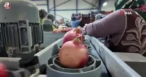 Denizli narı İsrail narının önüne geçti