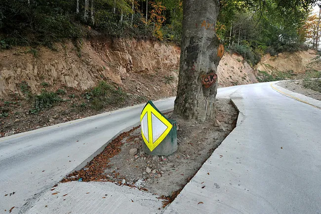 Trabzon'da yol ortasındaki asırlık gürgen kesilmekten kurtarıldı - 5