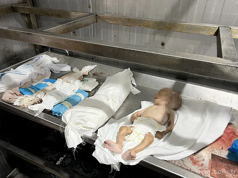 Trump'ın Gazze planı Filistin devletine aralık kapı mı? 21 maddelik planda öne çıkan detaylar neler? 17