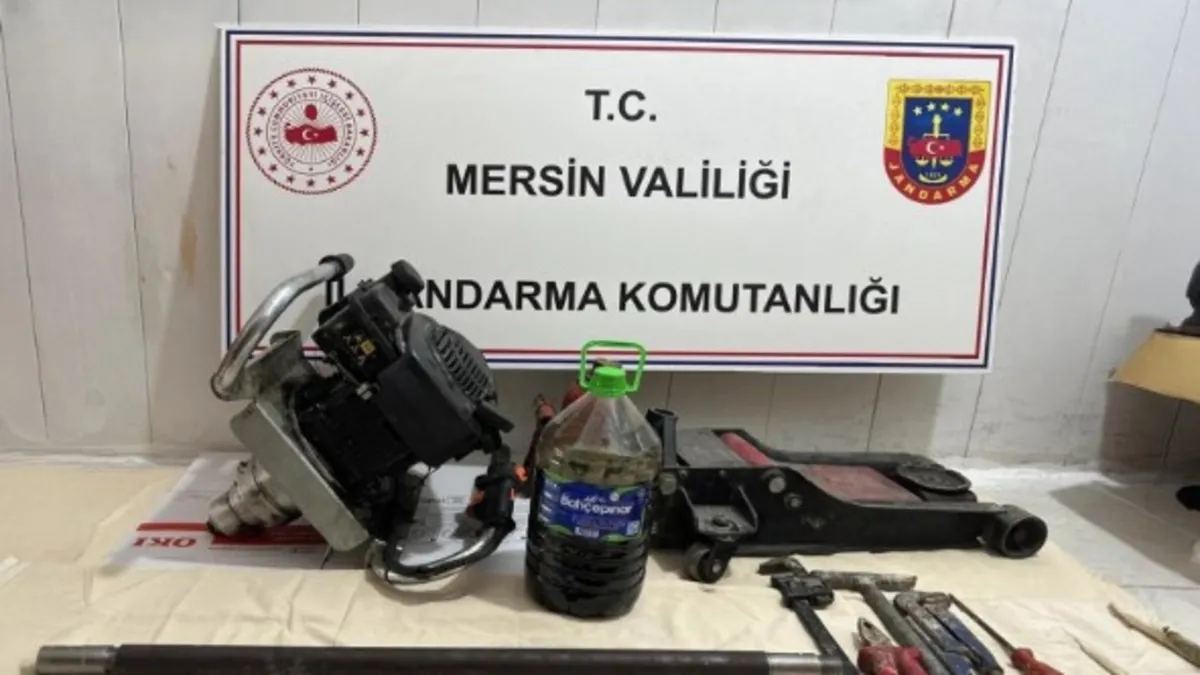 Kaçak tarihi eser kazısı: 4 şüpheli yakalandı