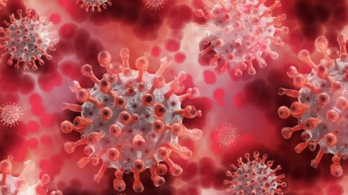 O ülkede salgın hastalık alarmı! 1 haftada 10 kişi öldü