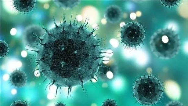 Türk bilim insanlarından Koronavirüs ile mücadelede büyük başarı! Yüzde 99 doğru sonuç veriyor...
