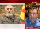 PKK’nın üst düzey ismi öldürüldü