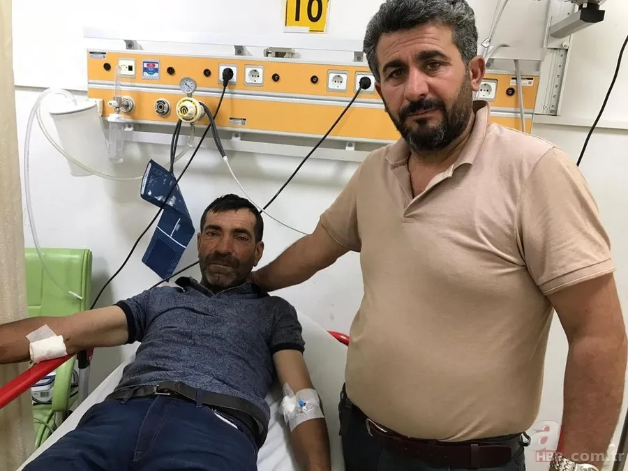 Görüntüler Erzurum’dan… Ayı çobana saldırdı! ‘Ayının altından kurtuldum ve…’🐻 4