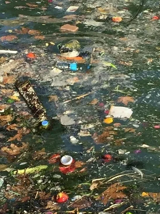 Fethiye'de deniz çöplüğe döndü CHP’li belediye seyirci kaldı - 1