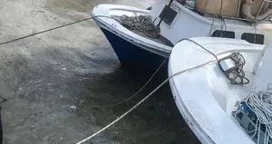 Korkunç manzaranın nedeni belli oldu