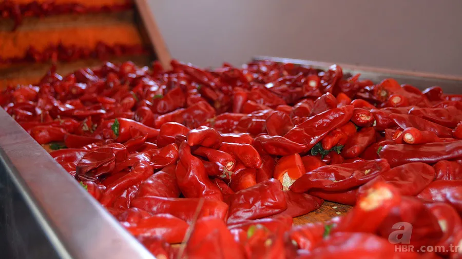 Kan grubuna göre nasıl beslenilmeli? O yeşilliklere dikkat 5