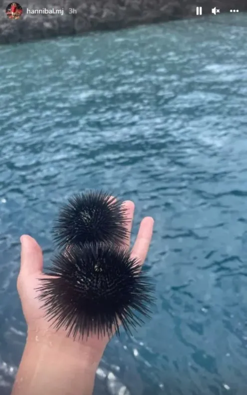 Manchester United’ın yıldız futbolcusu Hannibal Mejbri’nin sosyal medya paylaşımı başını yaktı! Sosyal medyada linç edildi