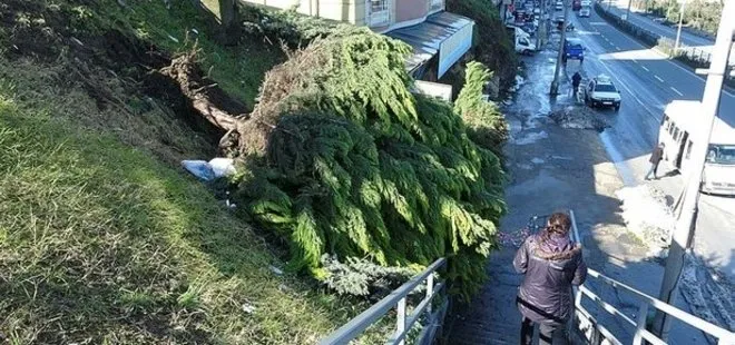Trabzon’da aşırı yağış istinat duvarının çökmesine yol açtı