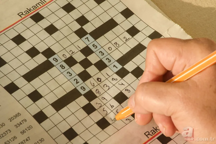 Sandığınız gibi değil! Bilim insanları cevapladı: Bulmaca çözmek gerçekten beyni genç tutmaya yeter mi? 2