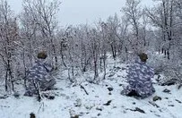 Diyarbakır'da Eren Kış-31 operasyonu başladı! Yüzlerce personel peşlerinde