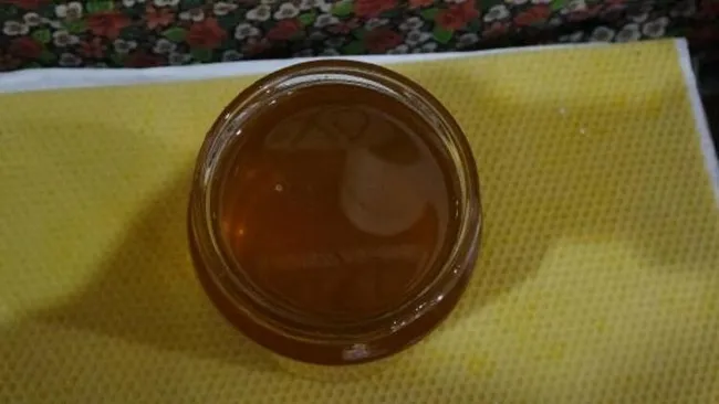 Karadeniz'de 'deli bal' tehlikesi | Ölüme bile neden olabilir! Deli bal nedir? - 5
