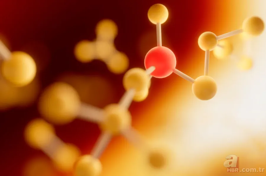 B12 hangi besinlerde var? Eksikliği hangi sorunlara yol açıyor, kimler risk altında? 2